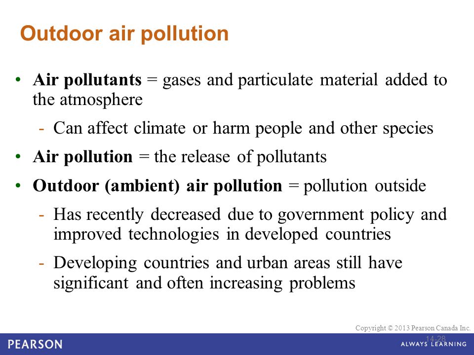 Essay about pollution spm